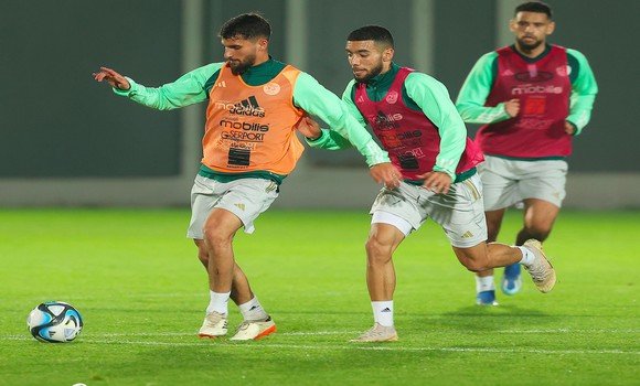فيفا سيري 2024 (الجزائر - جنوب إفريقيا): "الخضر" في مباراة من أجل التأكيد