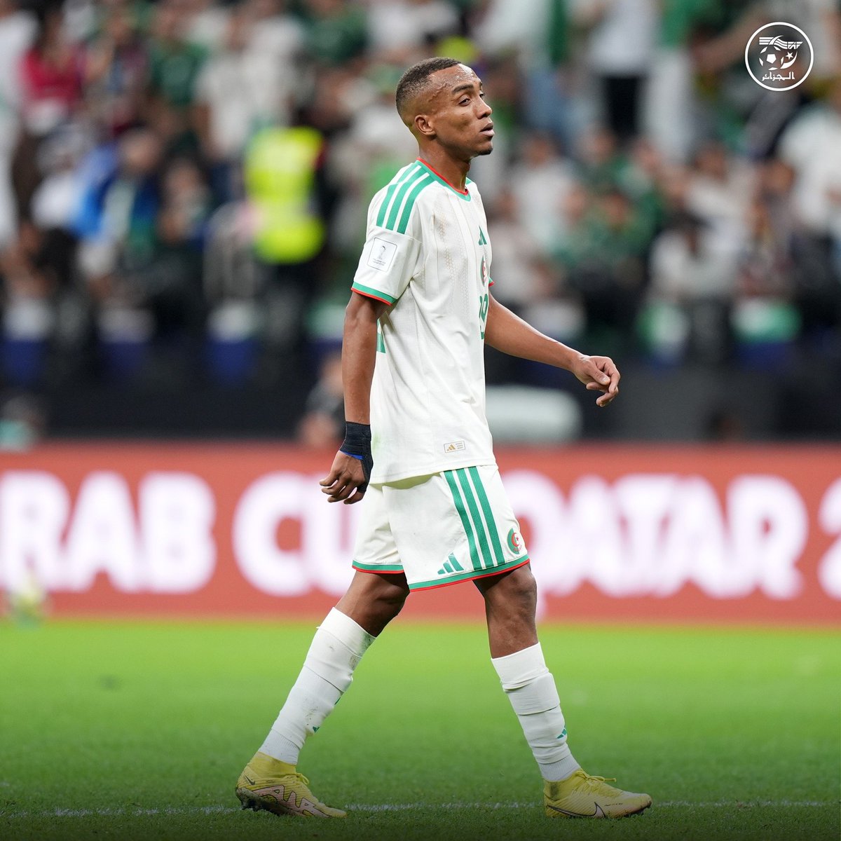 10 ملايير سنتيم تحت المجهر… هل تقرّب عبادة من الخضر؟