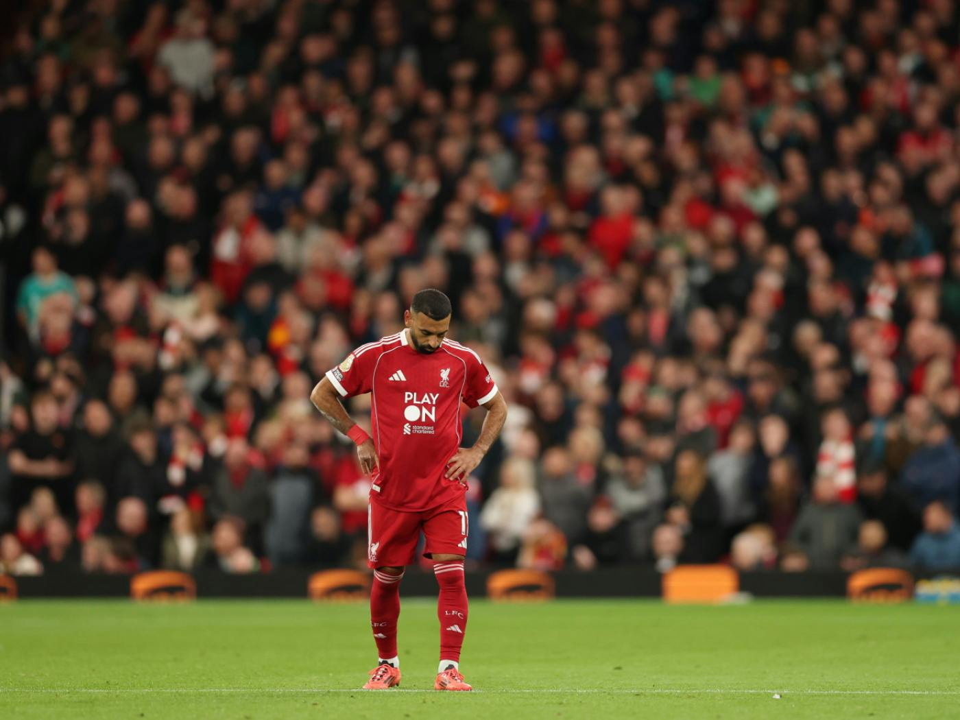 كيف تحوّل تفاعل الأنصار إلى أرباح بملايين الدولارات؟